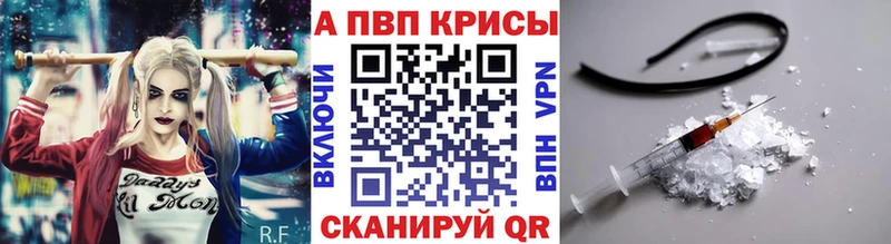 A PVP СК КРИС  Усть-Лабинск 